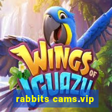 rabbits cams.vip